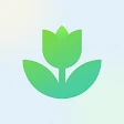 Plant App - Plant Identifier
