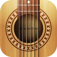 Real Guitar: acoustic electric